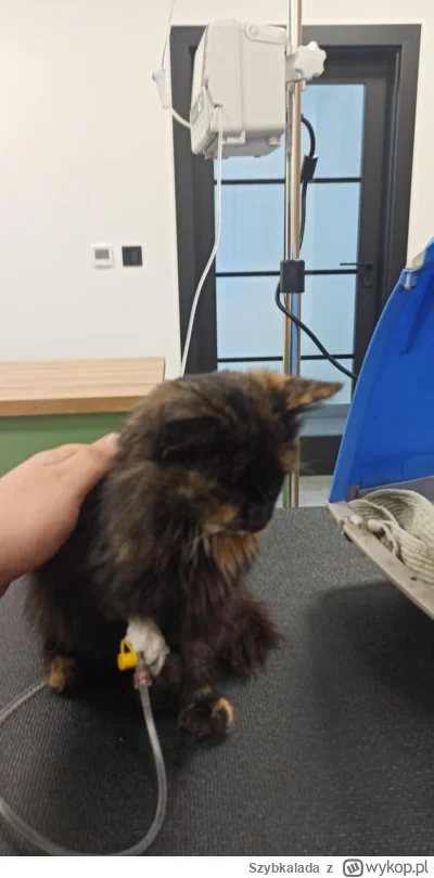 Szybkalada - @AndresIniesta