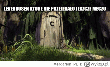 Merdarion_PL - Jedyna rzecz której pragnę to by całkowicie niezasłużenie wygrać mecz ...