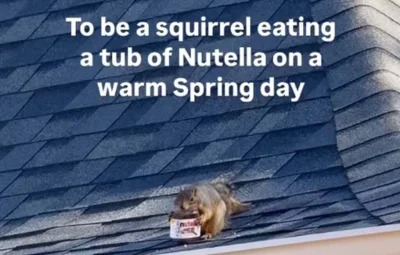 Badmadafakaa - #smiesznypiesek