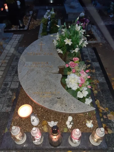 thelasttomatointhe_world - @powsinogaszszlaja @hacerking #zartyjanusza