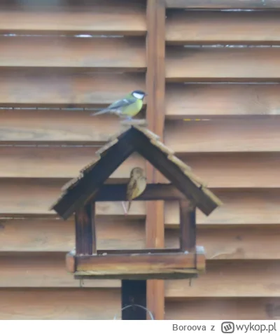 Boroova - @moll: popracuj nad kadrowaniem. Czajniczek tez obcielas dolny rog talerza....