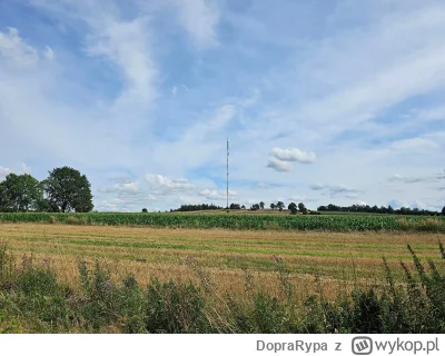 DopraRypa - 537 535 + 103 = 537 638

Kolejna setka - zbieranie kwadratów w okolicy Bo...