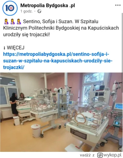 vad22 - Król jest jeden, król Sentino! #heheszki #sentino #bydgoszcz