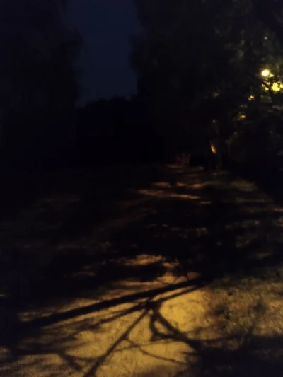 ZabawnyTypek - Spacer w lesie w nocy będąc spizganym brzmi jak plan.
Ciekawe czy się ...