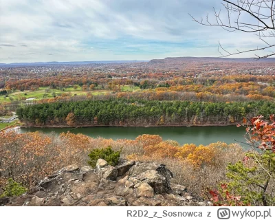 R2D2zSosnowca - @R2D2zSosnowca tak w ogóle to szlak którym się tu idzie wiedzie najpi...