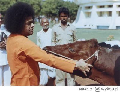 enten - No daj pyska

#bernatowicz #codziennysaibaba