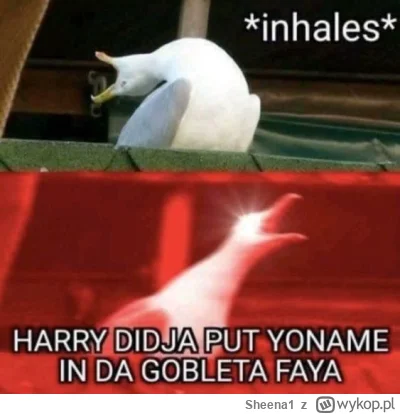 Sheena1 - #harrypotter