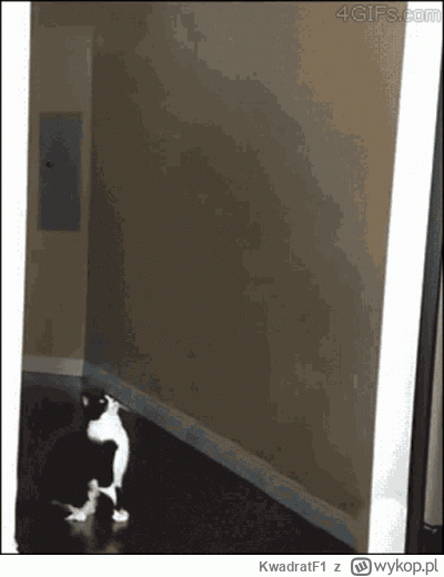 KwadratF1 - #ufo
Misja wykonana, można wracać do domu.