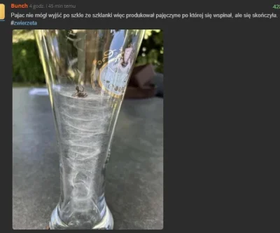 malyatakpaniki - Tak się skończy żywot dla jego. Nie ważna jest ilość włożonej pracy ...