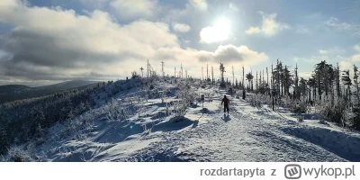 rozdartapyta - @choochoomotherfucker: nie no na górze trochę tego jest ( ͡º ͜ʖ͡º)