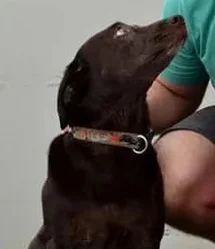 F.....i - >miala okolo 70 chuopa przede mna
moich dzieci

@kasper-jack: