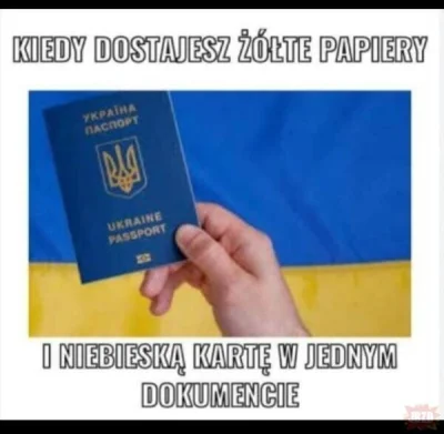 kotwlesie1 - (⌐ ͡■ ͜ʖ ͡■) #humorobrazkowy #heheszki