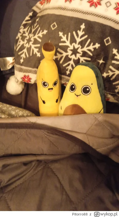 Pitorro88 - Z nimi śpię czy to źle?