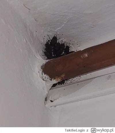 TakiSeLogin - @Cooperr: u nie w bloku na ostatnim, jakiś dramat. Moja teoria jest tak...