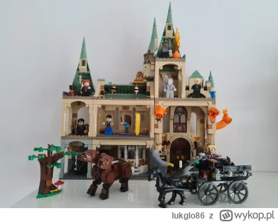 lukglo86 - Mireczki jaki kolejny zestaw #lego z uniwersum HP warto zakupić? Cena max ...