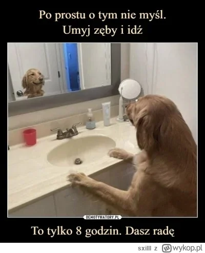 sxilll - Dam radę, jeszcze tylko 8 godzin, wytrzymam 
#przegryw
