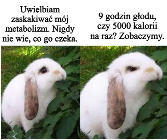 JatuArmy - Chyba sobie strzele głodówke znowu na 4 dni he he he