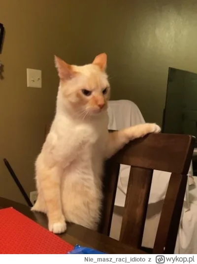 Niemaszracj_idioto - @winsxspl: