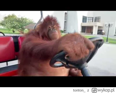 tonton_ - Kącik podróżniczy w medialnym konsorcjum Barneja
#barney