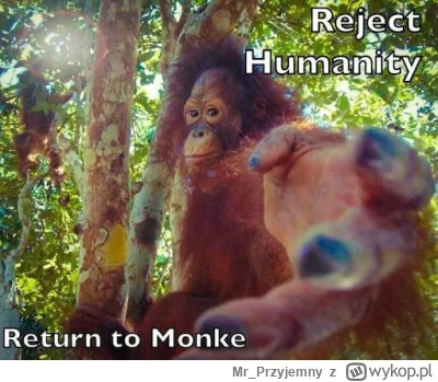 Mr_Przyjemny - @Lolenson1888