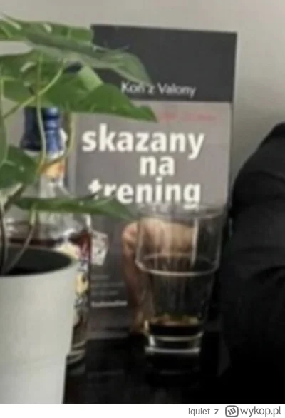 iquiet - @PogromcaPatusow ( ͡° ͜ʖ ͡°)