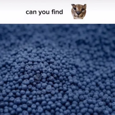 paczelok - #paczekot