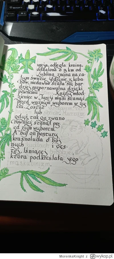 MorenkaKnight - @rekinwskarpetce