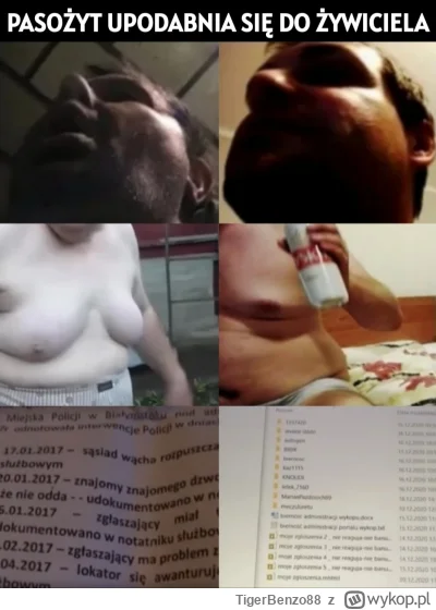 TigerBenzo88 - #kononowicz #centaurzbielska #patostreamy