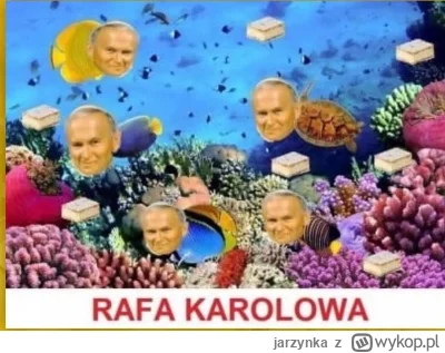 jarzynka - #wykopobrazapapieza