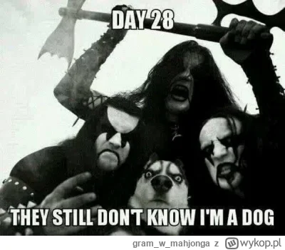 gramwmahjonga - #muzyka #topwszechczasow #heavymetal 

Od godziny 19 rusza w #radio35...