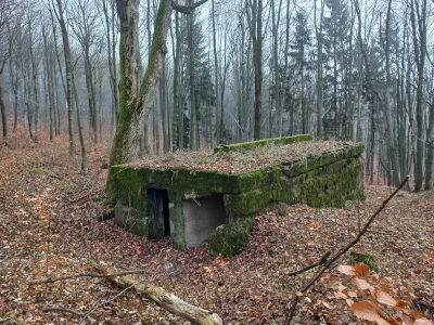 WR9100 - Kompleks Soboń cd.