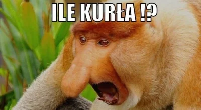 Frufruf - @cheeseandonion: