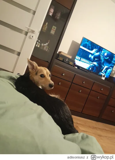 adisoniusz - Ogladamy se Kompanie Braci #pokazpsa