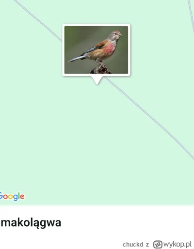 chuckd - @lunaria dzięki za ten wpis. Dziś zacząłem! W życiu nie słyszałem o takim ga...