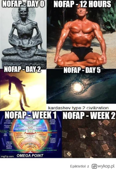 Epiktetlol - Czyli wystarczy nie walić konia przez dzień? 
#nofap
#przegryw