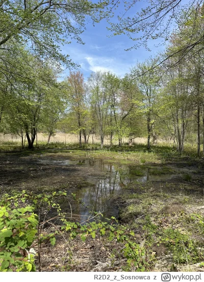 R2D2zSosnowca - @R2D2zSosnowca kwietniowe