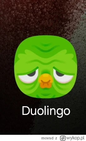 movsd - Czy ktoś może mi powiedzieć czemu Duolingo ma taką ikonę na telefonie?
#duoli...