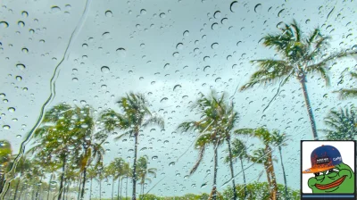 MechanicznyTurek - #f1  #f1spam