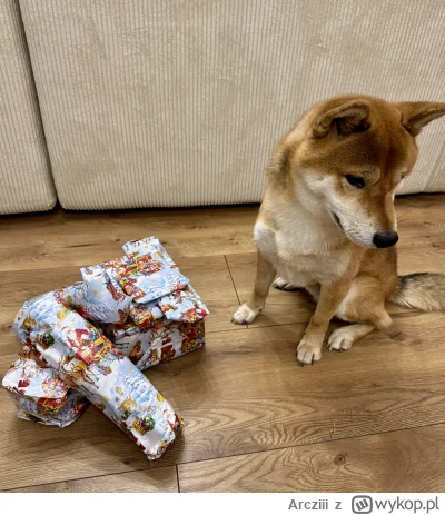 Arcziii - @Arcziii: Zapakowana była o tak ( ͡° ͜ʖ ͡°)
Widać napracowanie ᕙ(⇀‸↼‶)ᕗ