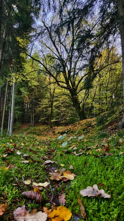 KrzysztofWu - @KrzysztofWu: