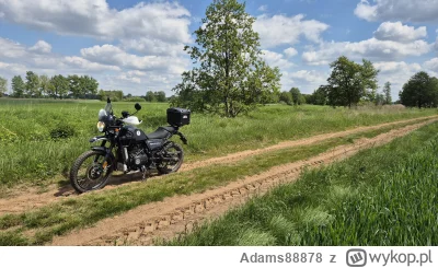 Adams88878 - @Adams88878: