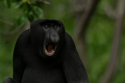 ntdc - @rzaden_problem: ( ͡° ͜ʖ ͡°)

RZADEN PROBLEM.