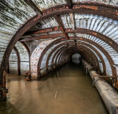 DziecizChoroszczy - Witaj podróżniku (￣෴￣)