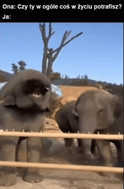 schnippen_schnappen - #heheszki