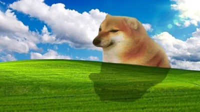 wfyokyga - Dzień dobry