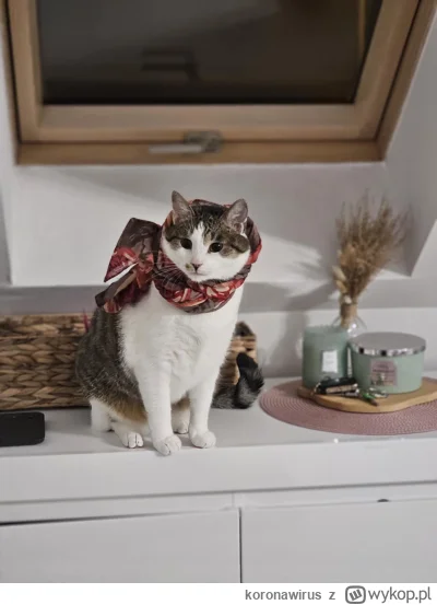 koronawirus - Jan
#pokazkota