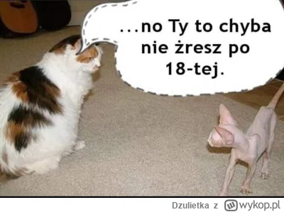 Dzulietka - #koty #kitku #dzulikotki #heheszki
