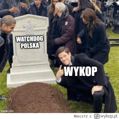 Miecz12 - #watchdogpolska