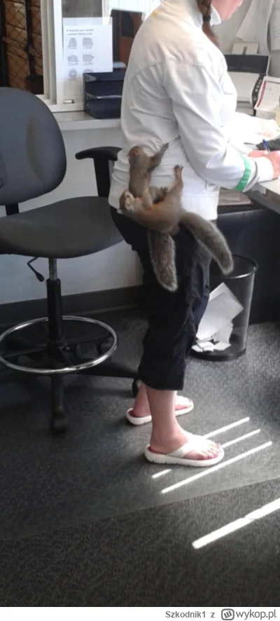 Szkodnik1 - @Eliade To nie jest żart, tylko w 2023 Amerykanie wydali 147 miliardów do...