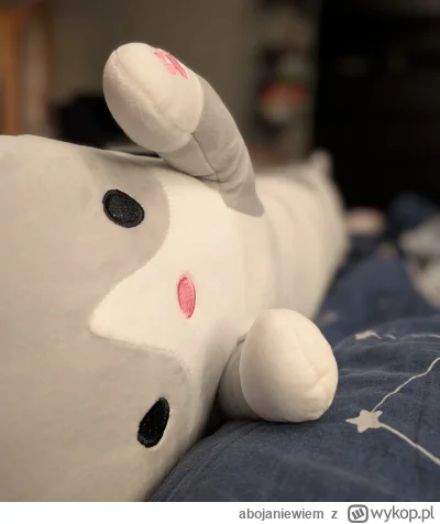 abojaniewiem - Leżymy z kotkiem i rozmawiamy o życiu.

#kotki #wygryw #niebieskiepask...